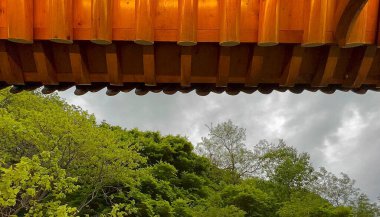 Ormanda ahşap köprü