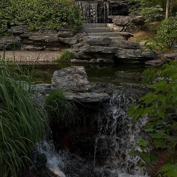 Parktaki nehrin güzel manzarası