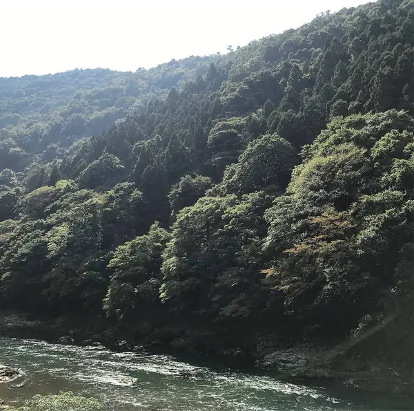 Dağlarda nehri olan güzel bir manzara.