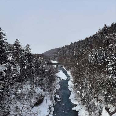 Kışın nehir manzarası