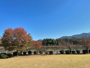 Ağaçlı ve yeşil yapraklı güzel bir manzara.