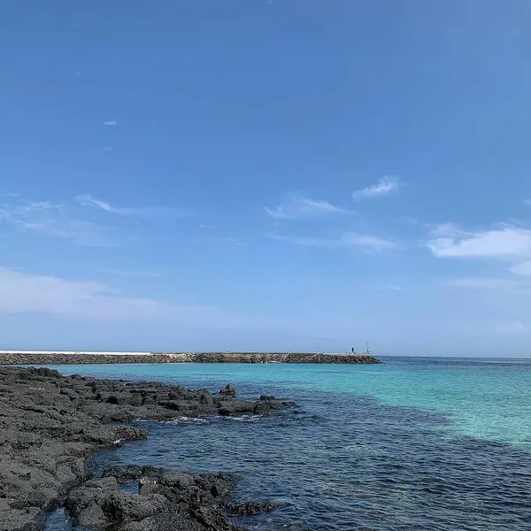 Bir mutfağın içi.