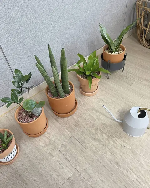 Bir mutfağın içi.