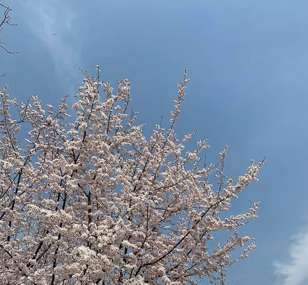 Bir mutfağın içi.