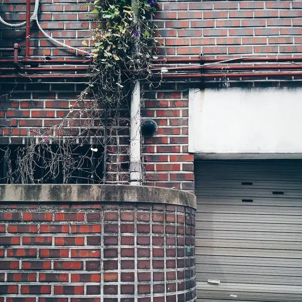 Şehirdeki eski pencere