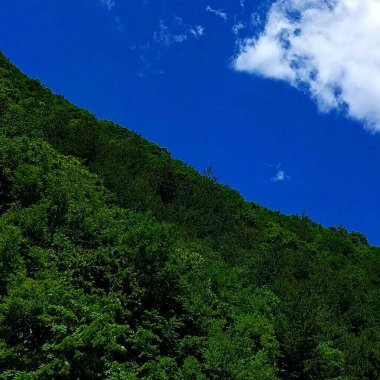 Dağlı güzel bir manzara.