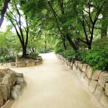 Parkın güzel manzarası