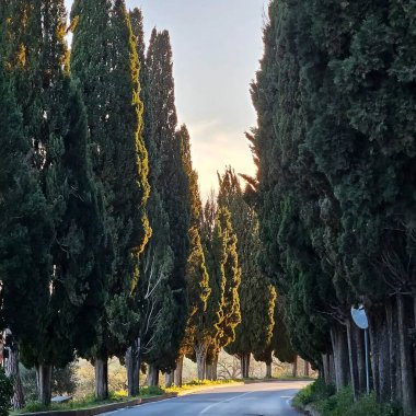 Parkın güzel manzarası