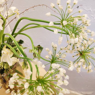 Masadaki beyaz çiçekler