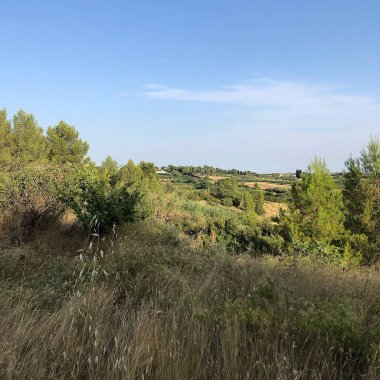 İspanya kırsalının manzarası