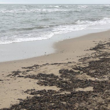 Güzel deniz manzarası. doğa arkaplanı