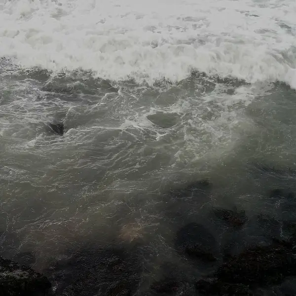 Deniz kıyısının güzel manzarası