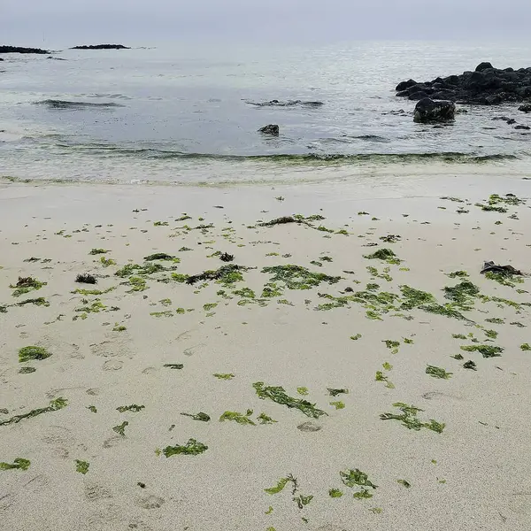 Elmasların Lanzarote adası ve diğer adalar.