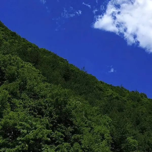Dağlı güzel bir manzara.