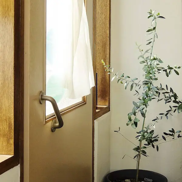 Bahçedeki yeşil bitki