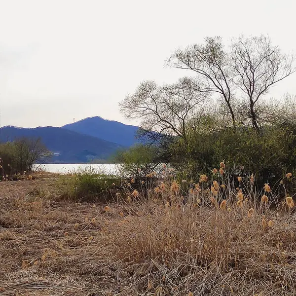 Nehir ve gölü olan güzel bir manzara.