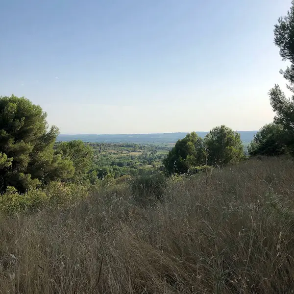 Dağın tepesinden manzara