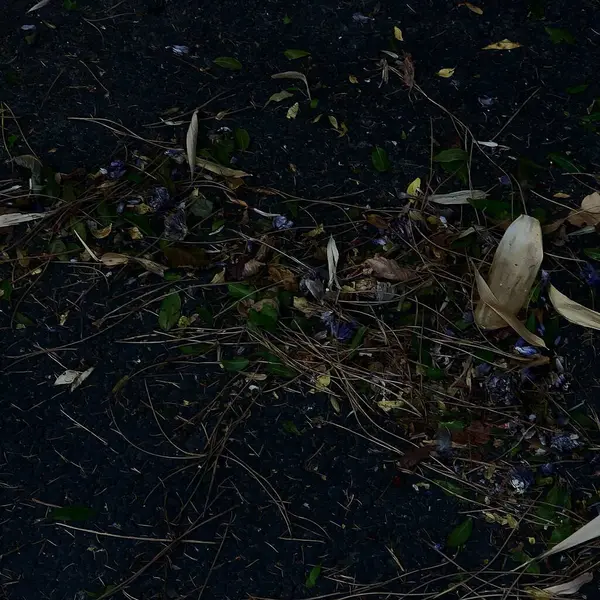 Güzel botanik çekimi, doğal desen.