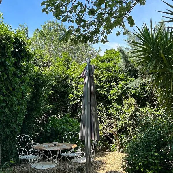 Mavi bulutlu gökyüzünün altında dikey bir bahçe bitkisi ve ağaç görüntüsü.