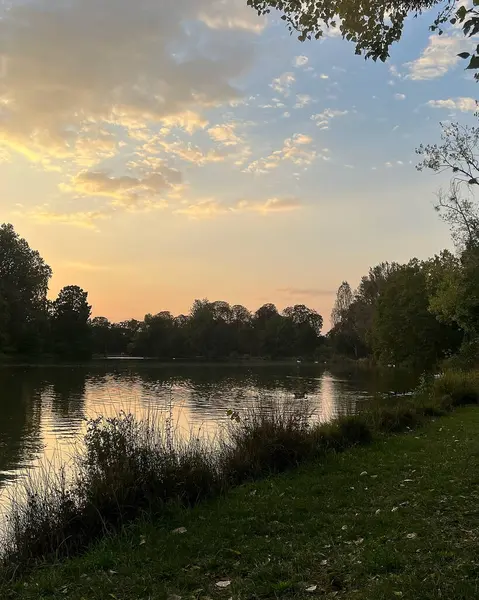Gün batımında parkta sonbahar ağaçları.