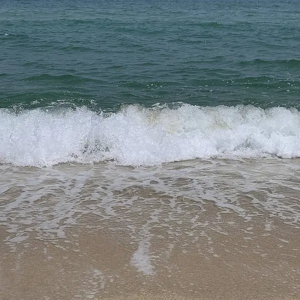 Güzel deniz kıyısı. doğa arkaplanı