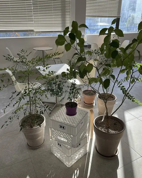 Güzel botanik fotoğrafı, doğal duvar kağıdı.