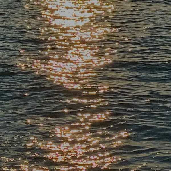 Siyah arkaplanda su damlaları