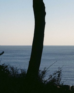 Deniz manzarası çok güzel. Doğa