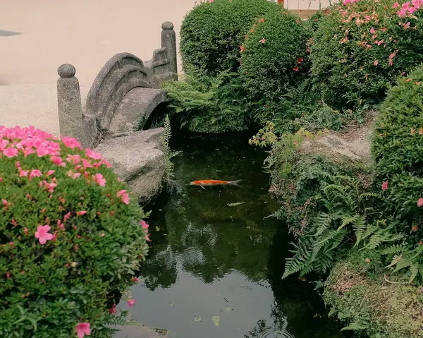 Parkın güzel manzarası