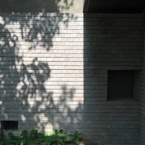 Şehrin modern binası