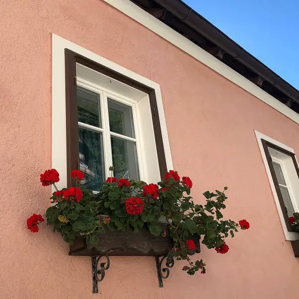 Bahçesinde kırmızı çiçekler olan pencere.