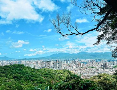 Yeni Zelanda adasının güzel manzarası.