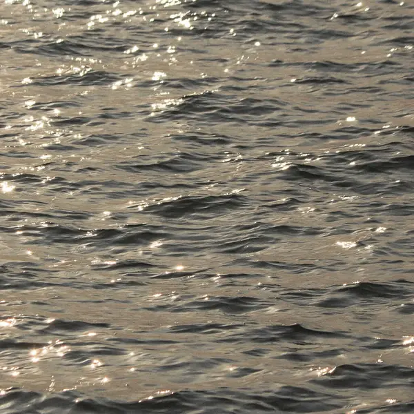 Nehirdeki su dalgaları