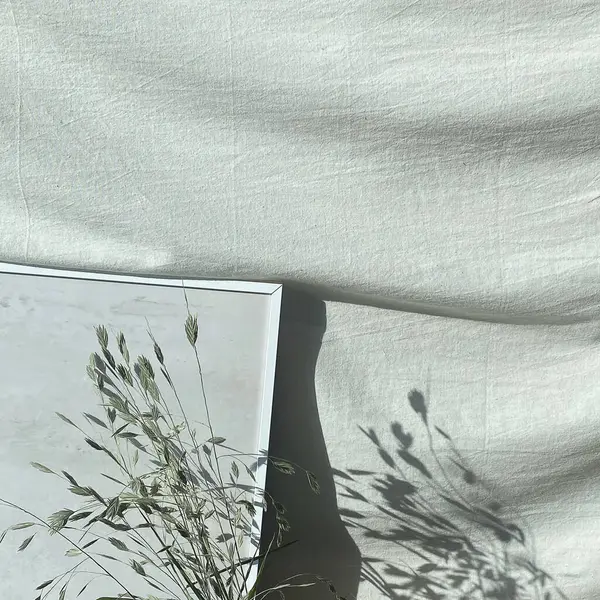 Güzel botanik fotoğrafı, doğal duvar kağıdı.