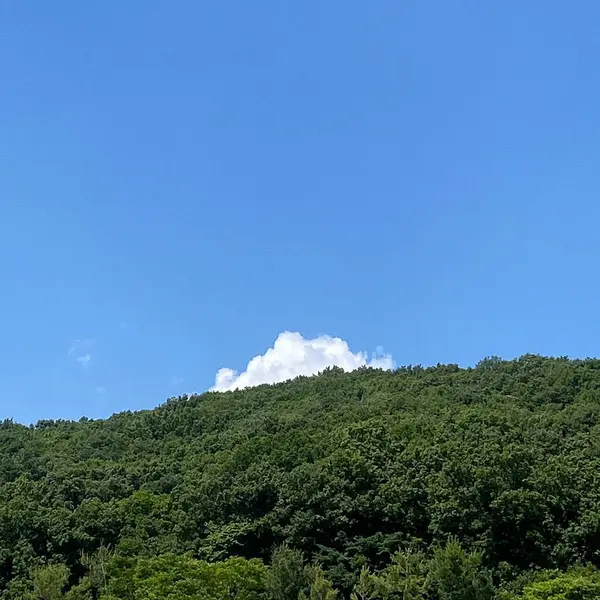 Dağları ve mavi gökyüzü olan güzel bir manzara.