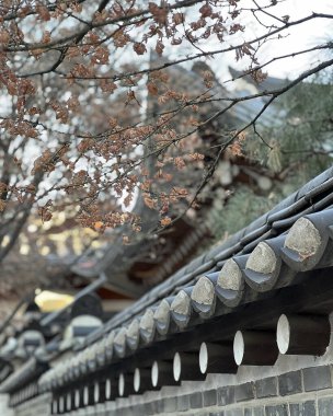 Çin şehrinin güzel mimarisi