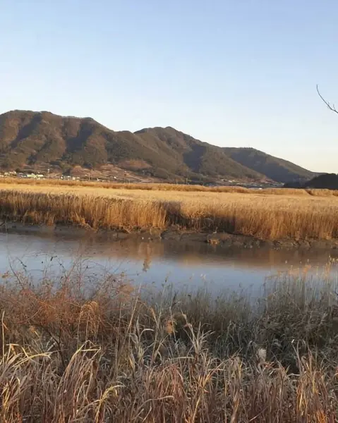 Dağlarda gölü olan güzel bir manzara.