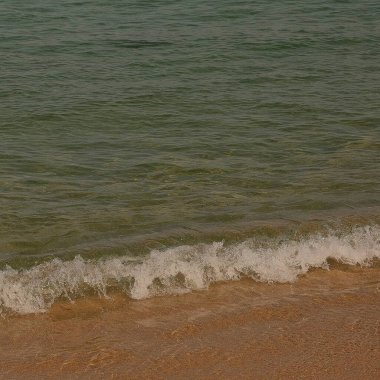 Sahildeki deniz dalgası.