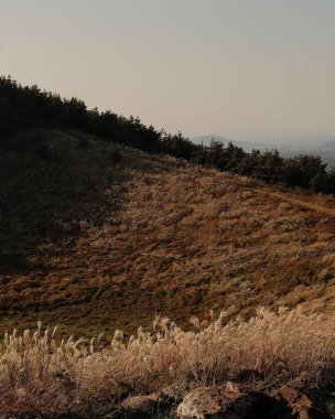 Dağları ve bulutları olan güzel bir manzara