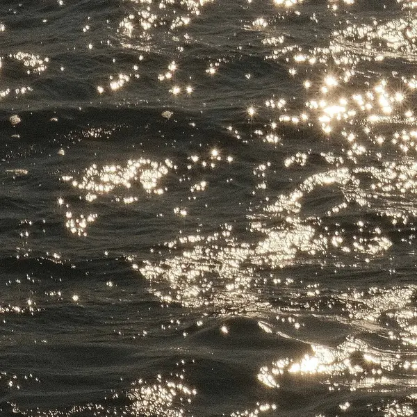 Sahildeki deniz dalgaları