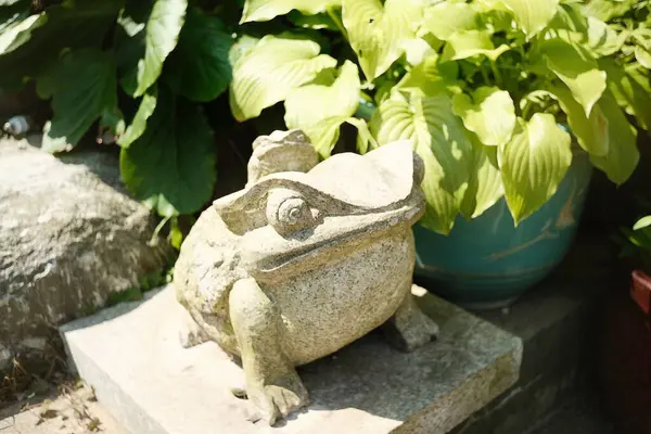 bir kurbağa heykeli