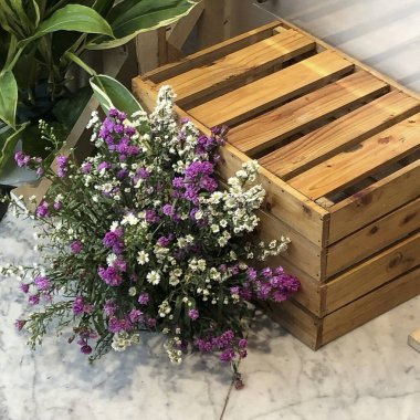 Bahçedeki güzel çiçekler