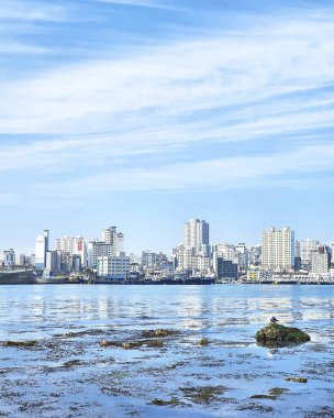 New York adasının güzel manzarası.