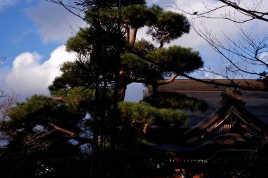 Parkın güzel manzarası