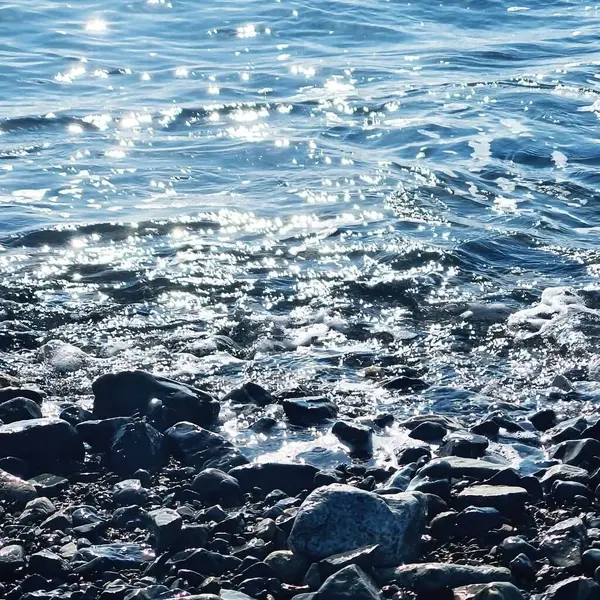 Sahilde dalgalar ve köpüklerle su yüzeyi