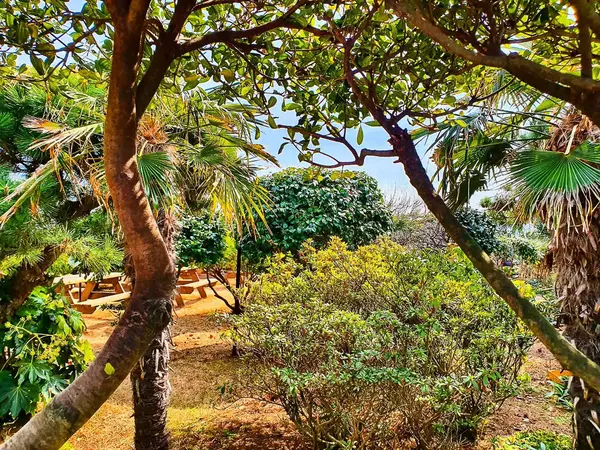 Parkın güzel manzarası