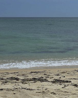 Lanzarote adası büyük bir okyanustur diğer kanarya adaları