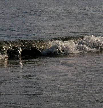 Sahildeki deniz dalgaları