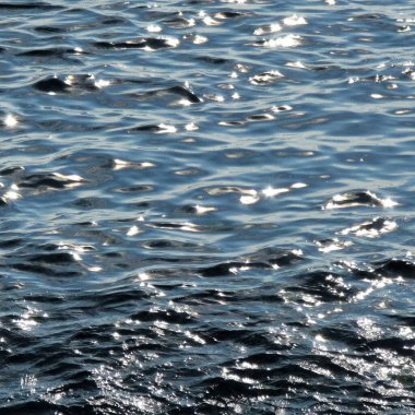 arka plan olarak deniz yüzeyi