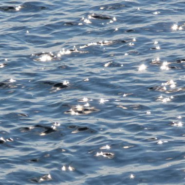 Gölde dalgalanmalar olan su yüzeyi